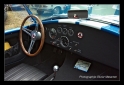 Cobra replica-8.png